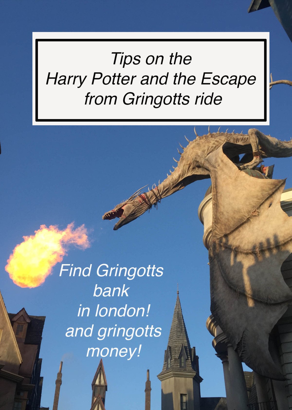 Harry Potter and the Escape from Gringotts pin