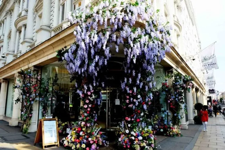 My Sunday photo Fenwicks flower display in Bond street.