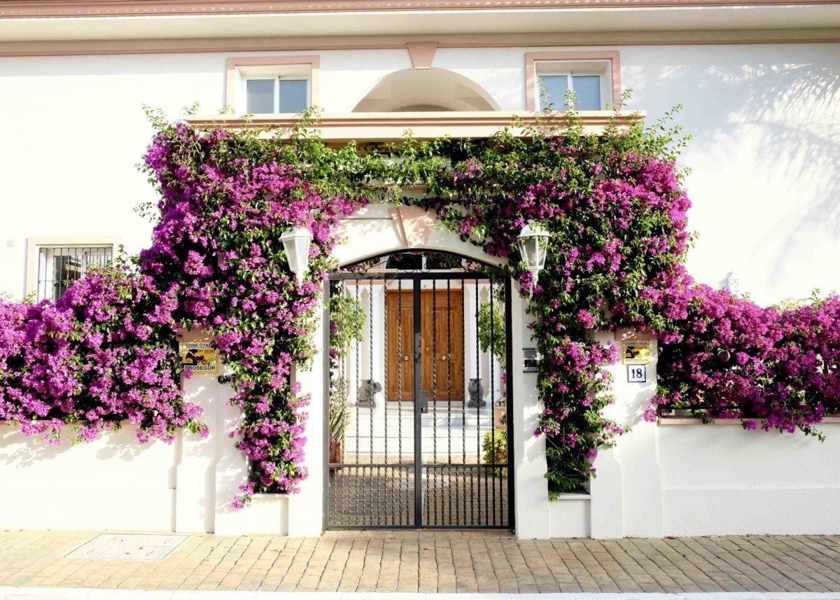 Spain Doorway photo