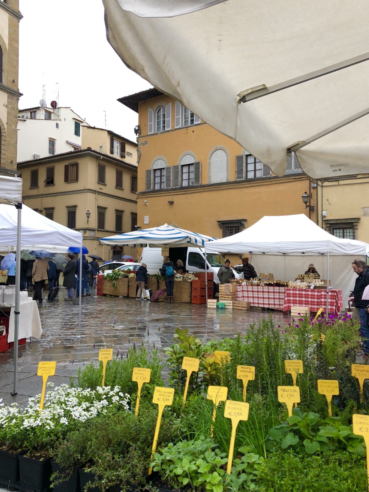 Day trip Gelato making in florence with Livitaly organic food market