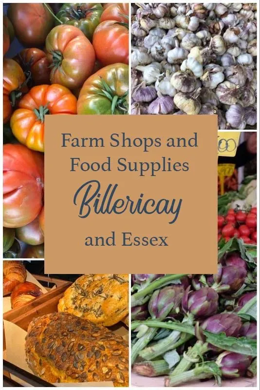 Essex Food Supplies
