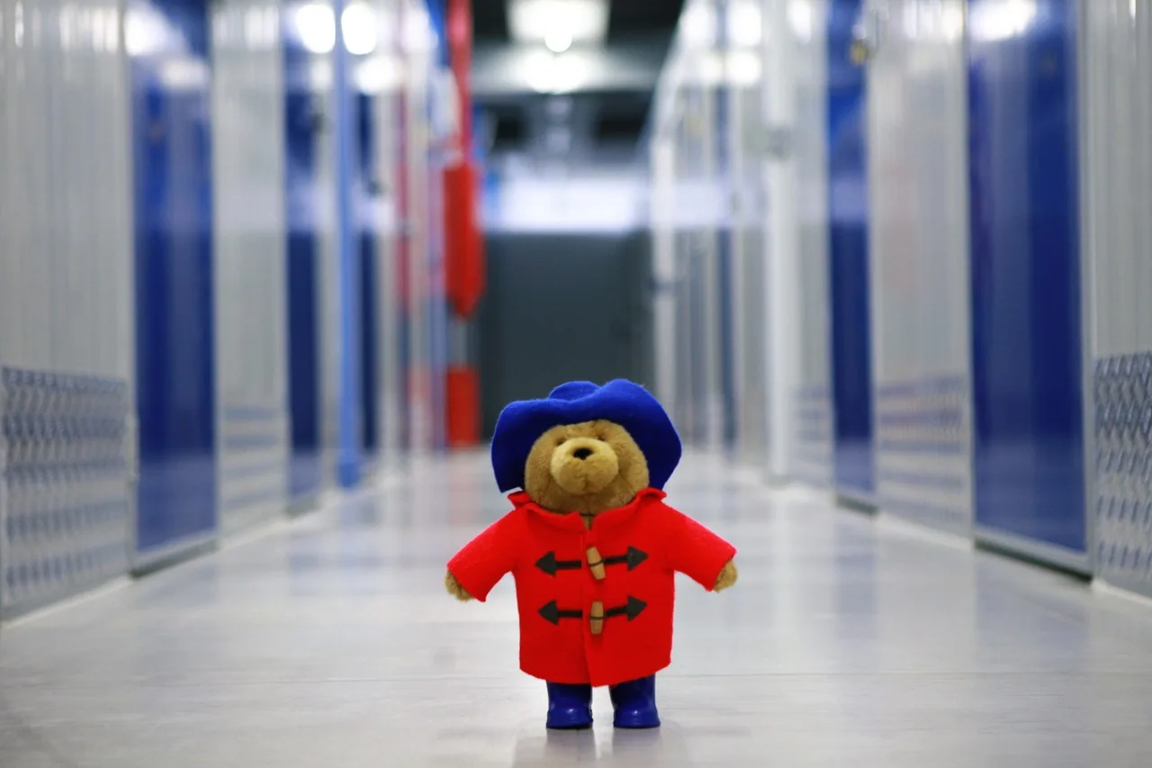 Self Storage Benefits Paddington bear in a storage unit