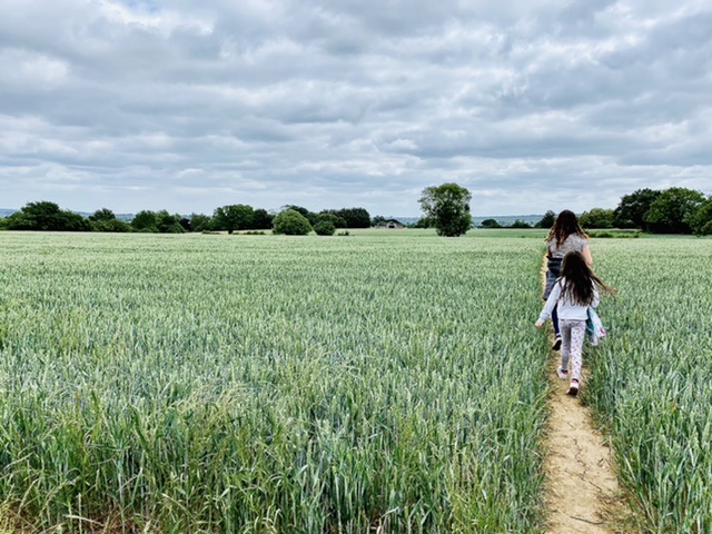 Walk in a field Benefits of Exercise on your Mental Health