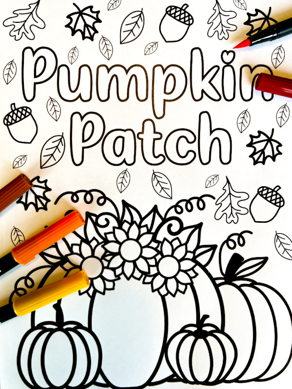 Pumpkin patch coloring page with fall leaves, pumpkins, acorns and sunflowers to color in