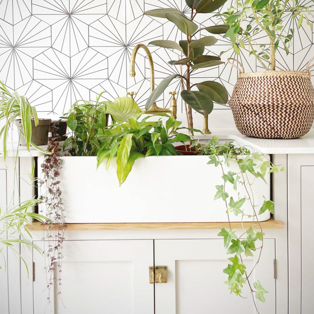 Include Indoor Greenery Indoor plants in a kitchen butler sink