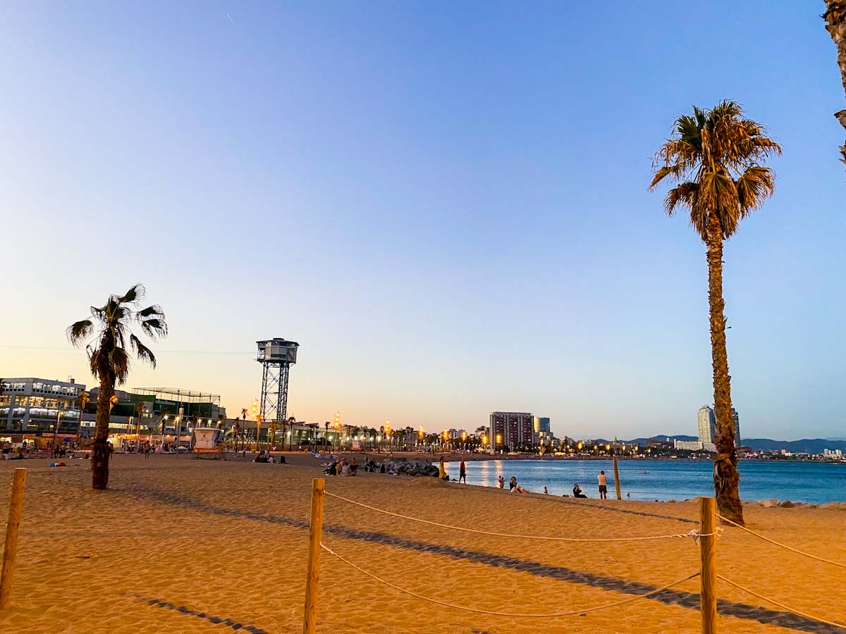 Barcelonata beach view at sunset With palm trees in Barcelona