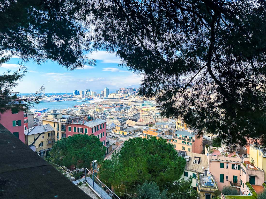 View form the cliffs of the port of Genoa