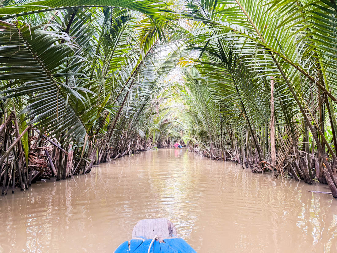 Mekong Delta Vietman