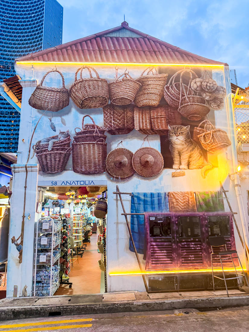 Street art singapore.