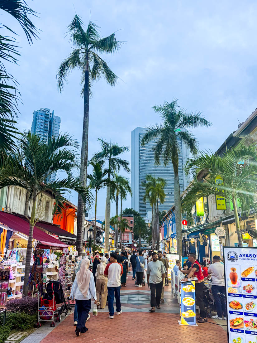 singapore. Arab Street
