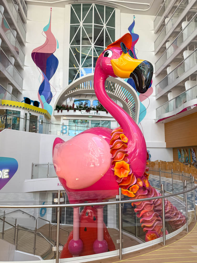 Star of the seas flamingo