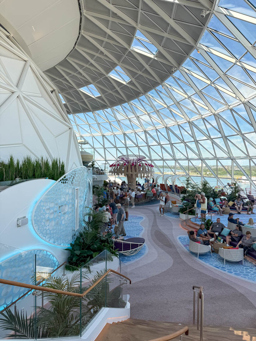 the lookout Star of the seas