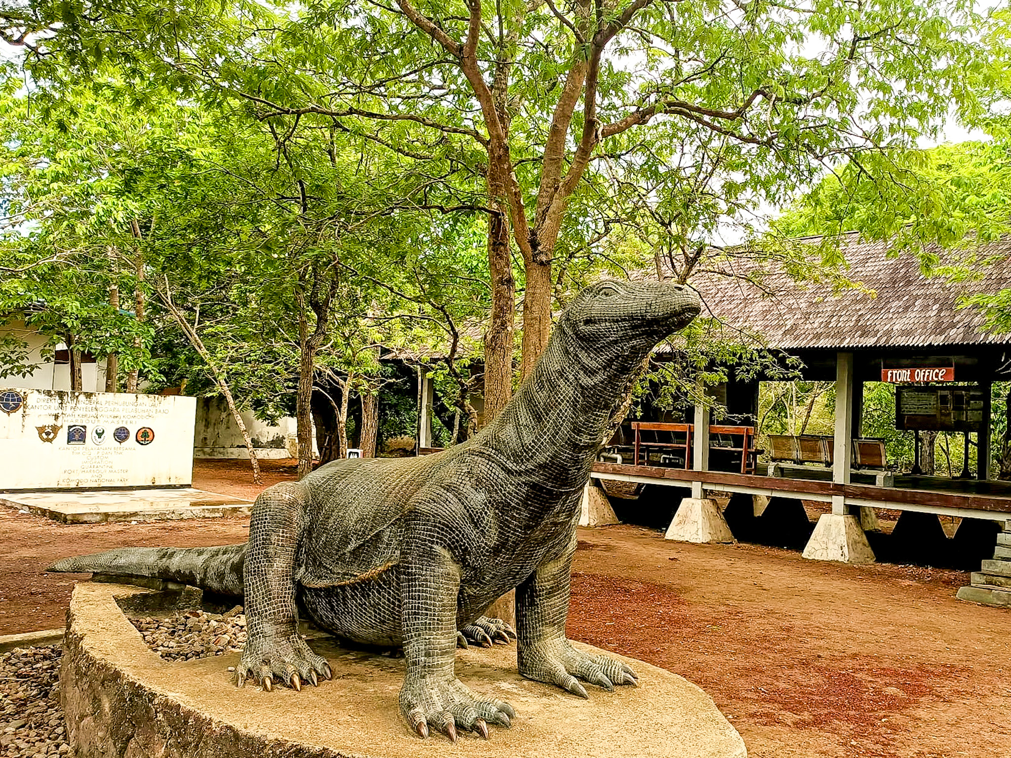 What to Expect on a Komodo Island Tour