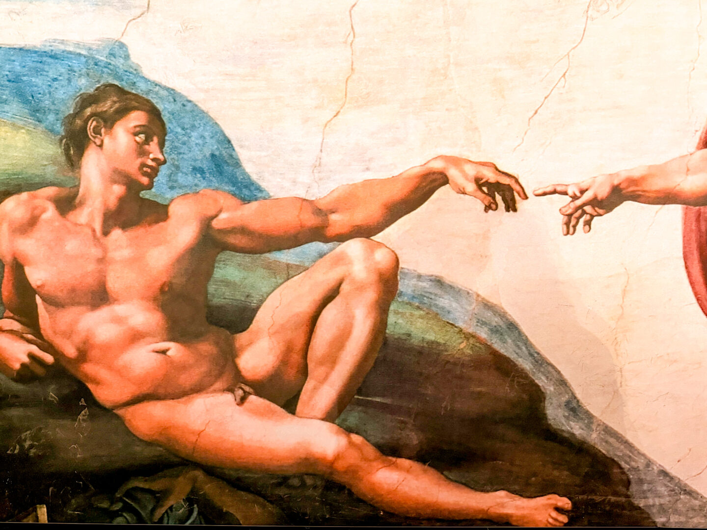 The Ceiiing of the Sistene Chapel . The creation of Adam photo Credit Donna Vallance