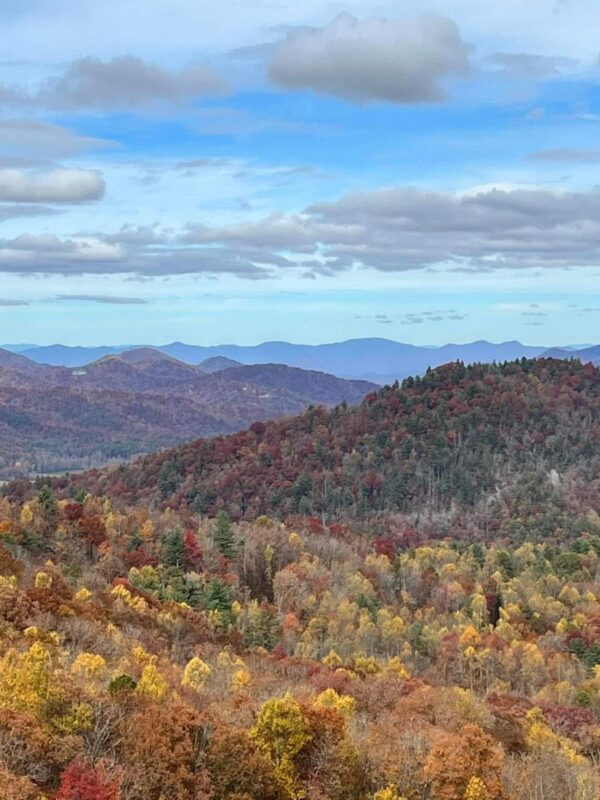 5 Reasons North Georgia Is a Top Pick for Weddings