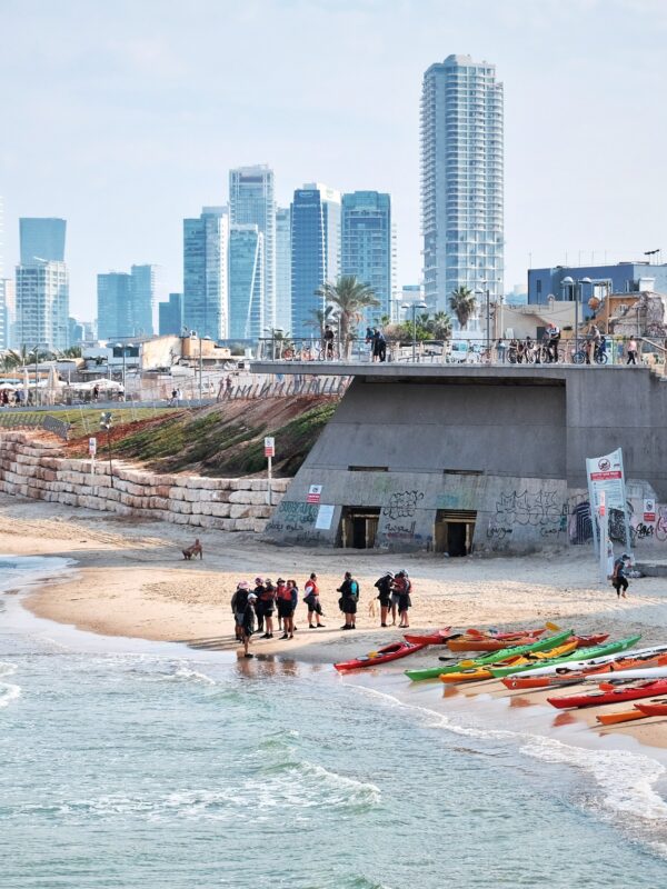 How to Choose the Right Professional Israel Tour